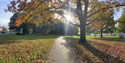Weg mit Sonnenstrahlen und Bäumen.